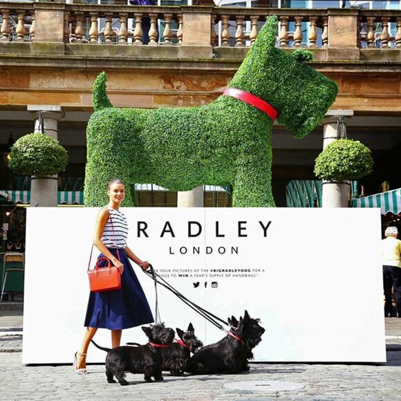 NEW Radley London Rope Walk Croc Embossed Leather Pink Crossbody Handbag $268 - Picture 10 of 11